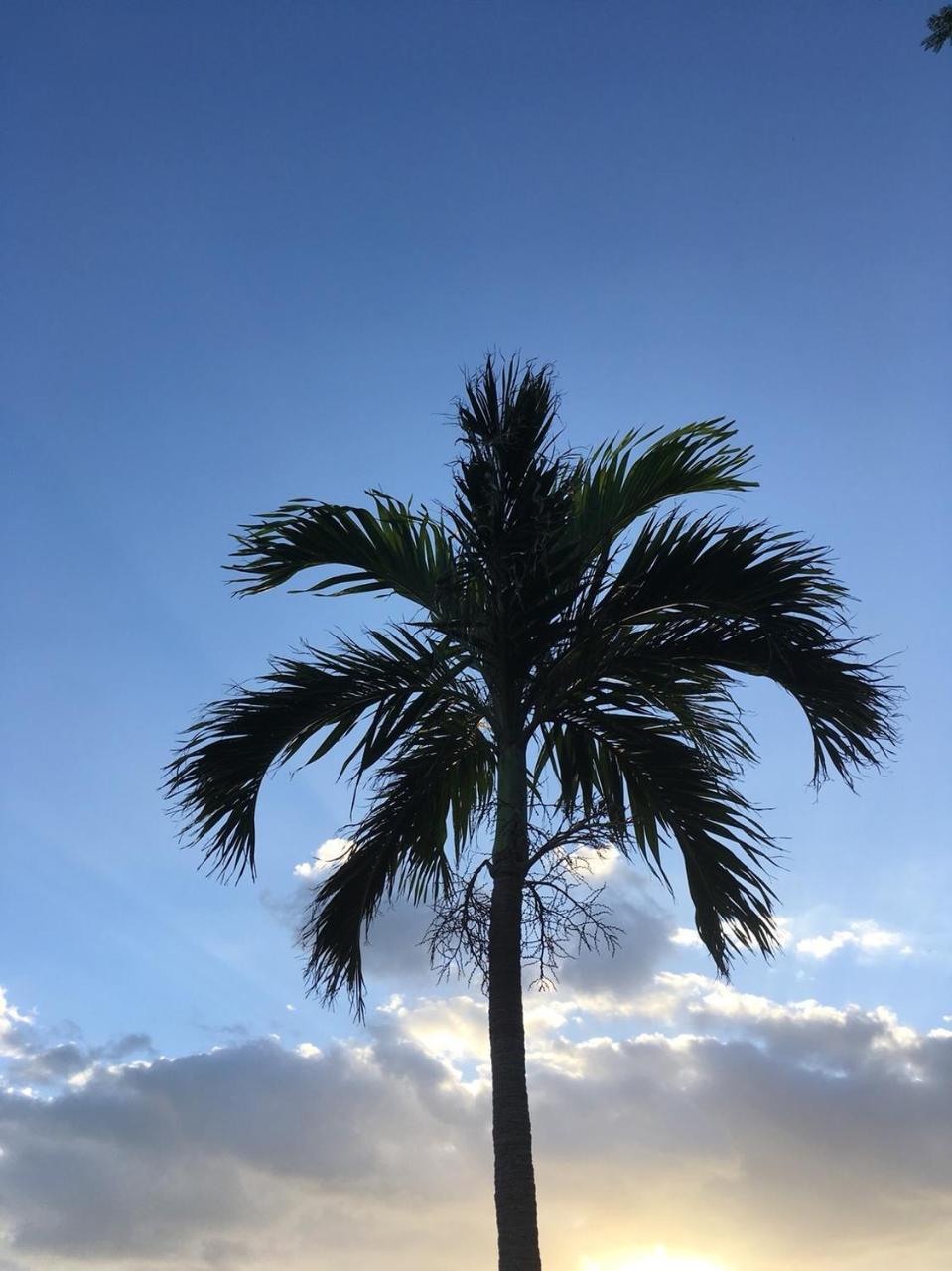 Y' Rise To Hotel Miyakojima Eksteriør bilde